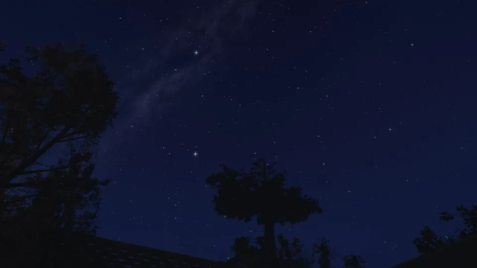 A deep blue night sky full of stars, with the dark crowns of trees at its lower edge.